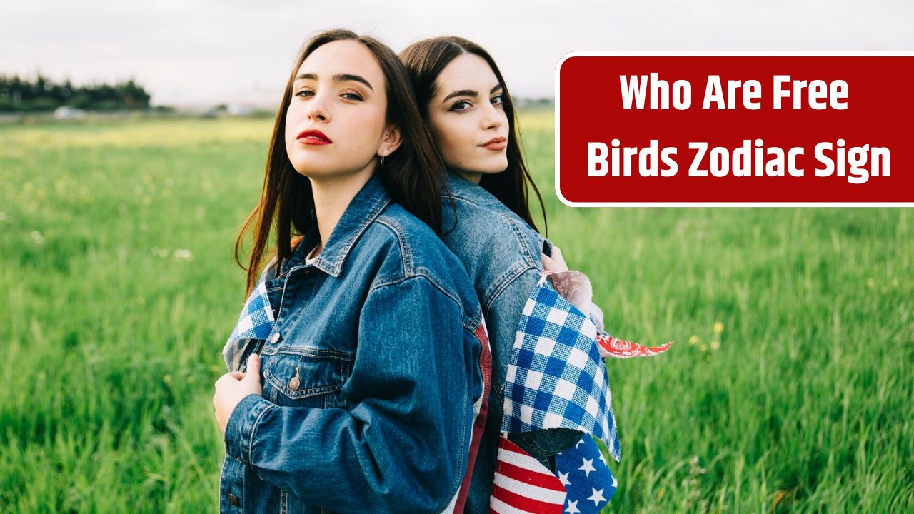 Top 3 Zodiac Signs Who Are Free Birds