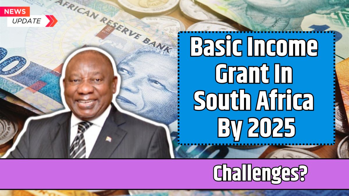 Basic Income Grant In South Africa By 2025