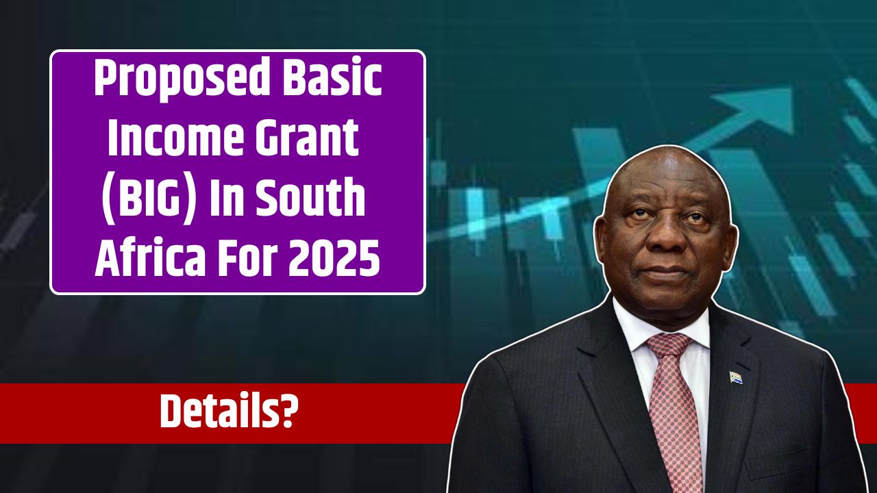 Proposed Basic Income Grant (BIG) In South Africa For 2025