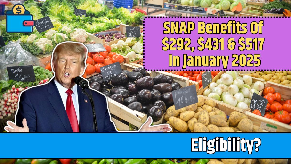 SNAP Benefits Of $292, $431 & $517 In January 2025